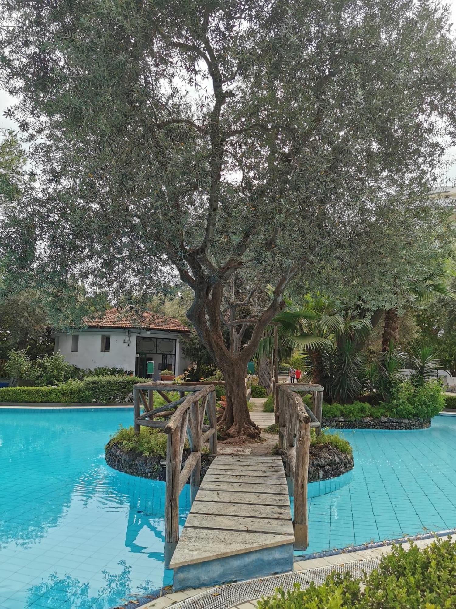 Casa Mar - Elegant Apartment With Pool And Panoramic Terrace In The Heart Of 소렌토 외부 사진